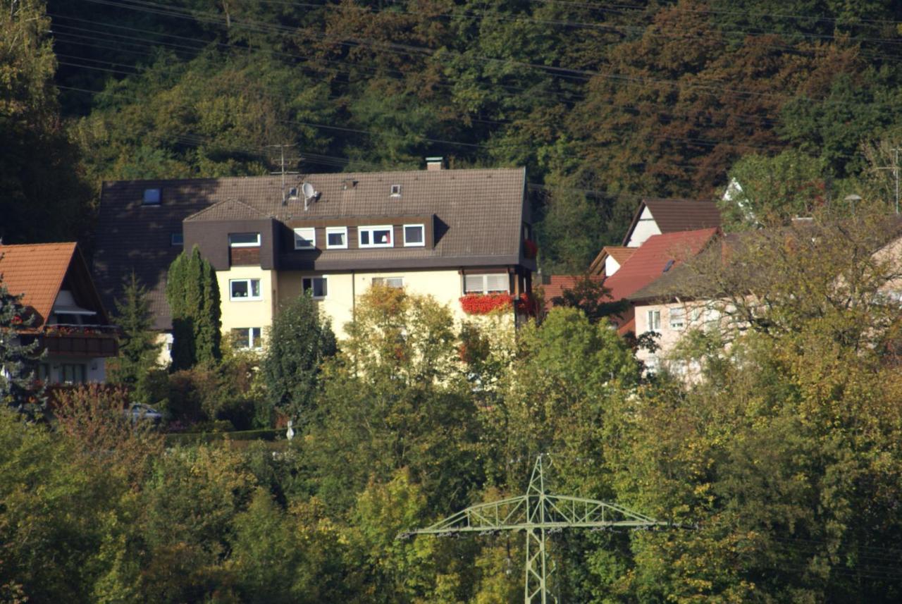 Hotel Storchen Райнфелден Екстериор снимка